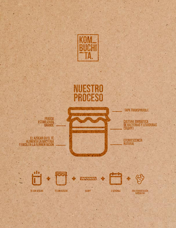 Kombuchita Mix