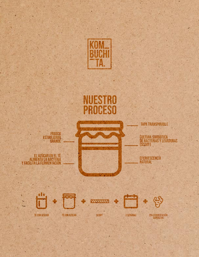 Kombuchita Mix – Pack de Sabores para Cuidarte - Kombuchita MX
