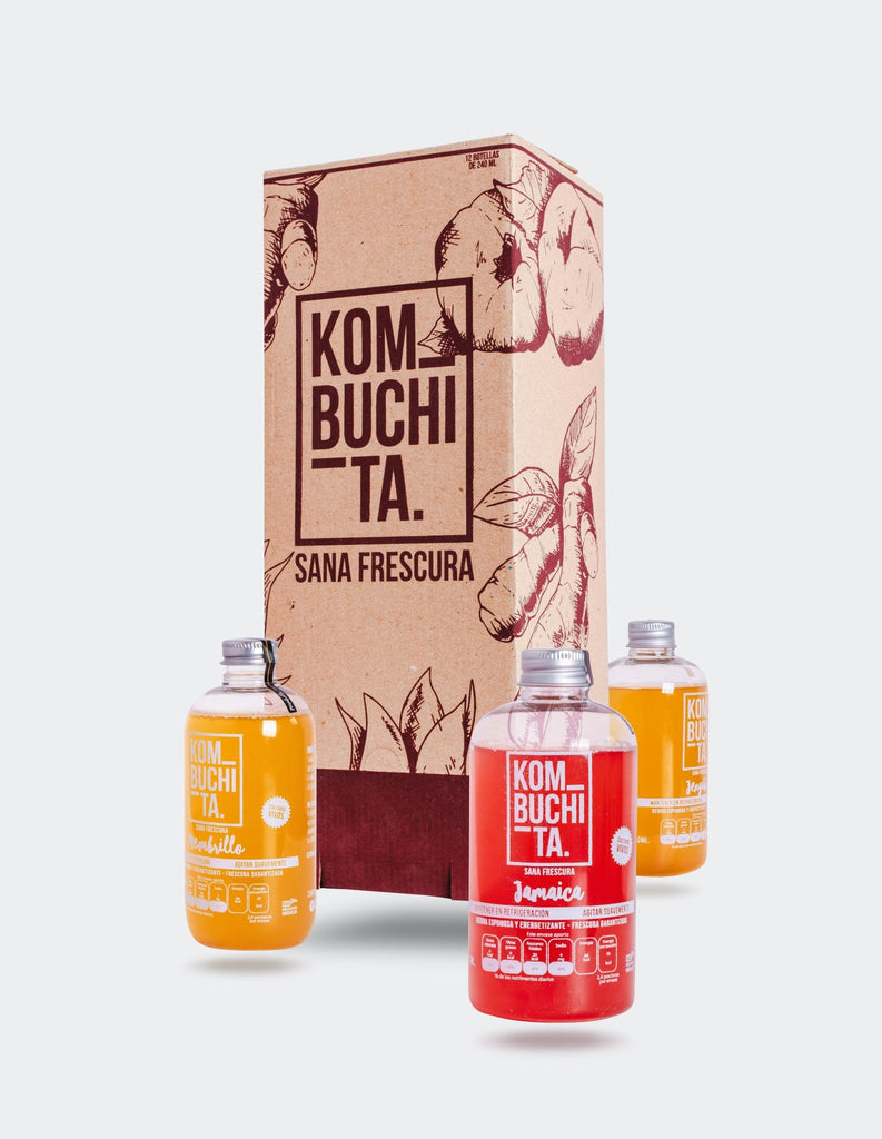 Kombuchita Mix – Pack de Sabores para Cuidarte - Kombuchita MX